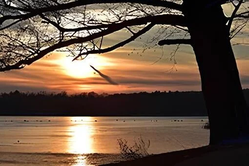 Blick auf den Scharmützelsee